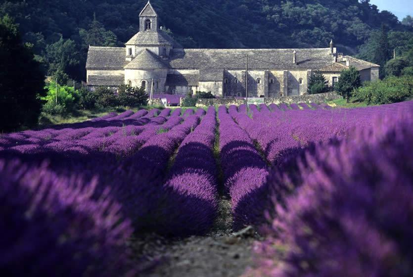 Gite Hanna En Luberon - Le Boisset De St Martin De Castillon Saint-Martin-de-Castillon Экстерьер фото